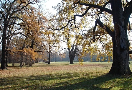 Gro&szlig;er Garten im Herbst