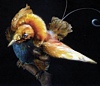 Museum für Tierkunde