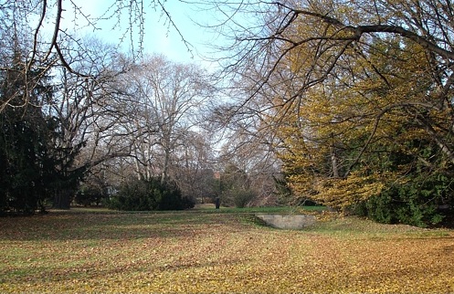 Teich und Bachlauf der Bürgerwiese im Herbstlaub